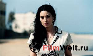 ������ ���� � ������ ������