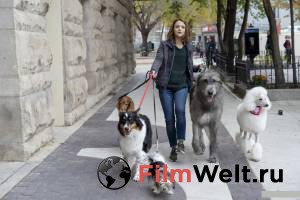 �������� ��������� ������� �����&nbsp;2 A Dog's Journey [2019] ��������� ������