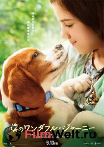 ������� �����&nbsp;2 / A Dog's Journey ������ ����� ���������